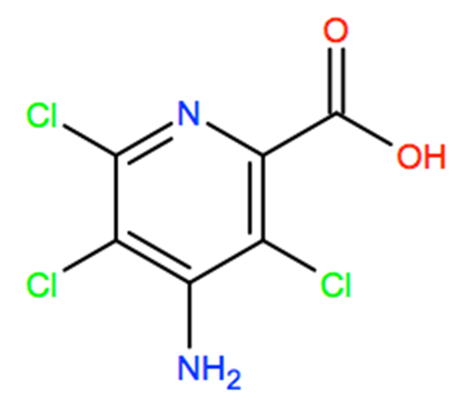 Structural representation of Picloram